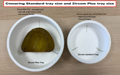 “Tray Size” KDF USA NEWSLETTER JULY 2024